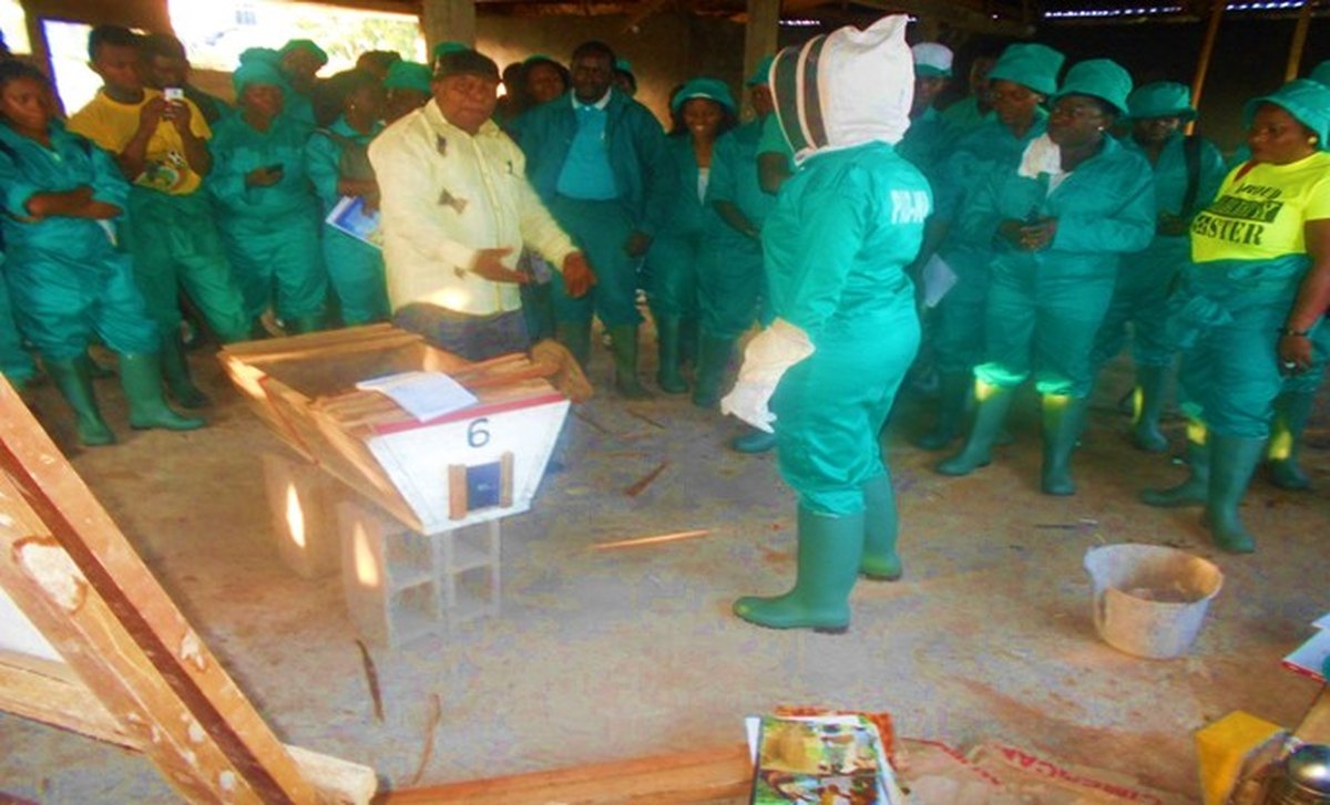 Trainees in protective bee suits during a beekeeping session
