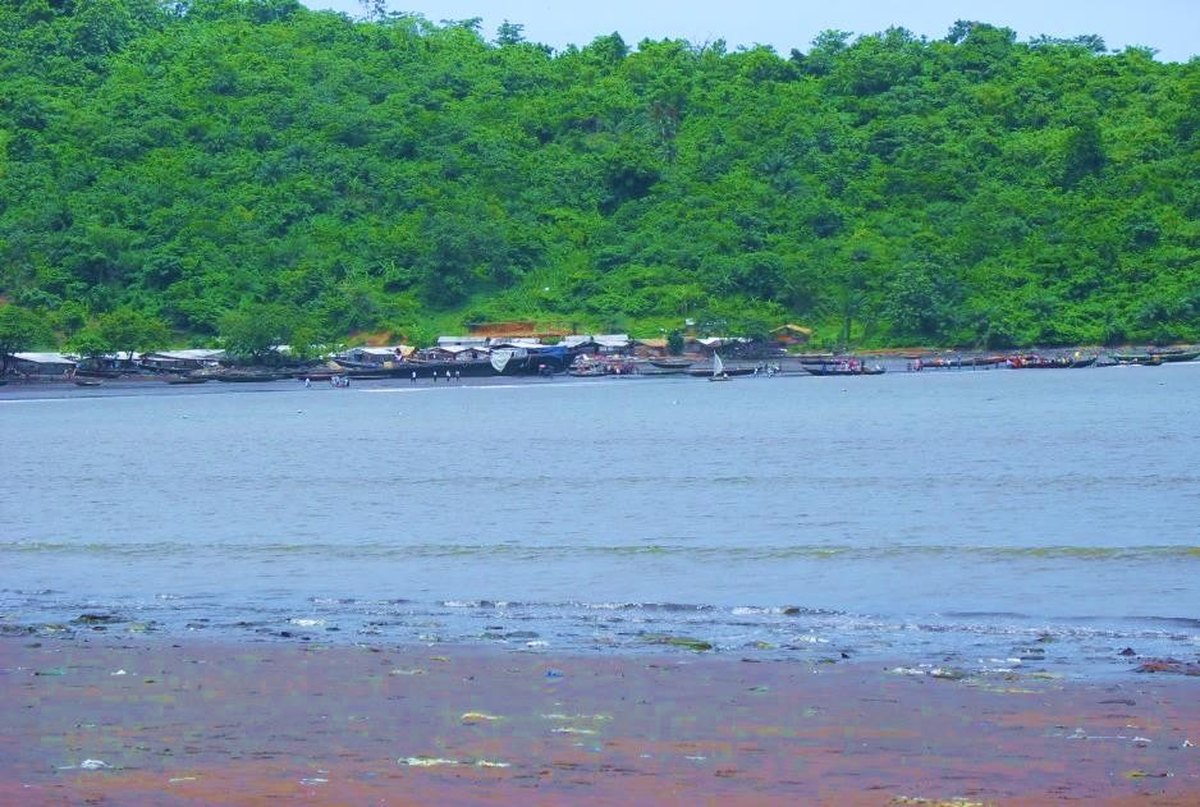 Coastal landscape in the South West Region of Cameroon