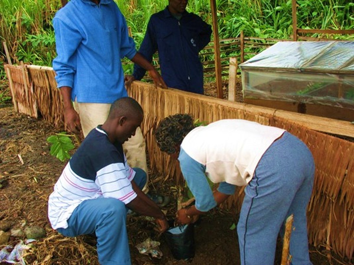 Community members preparing organic compost