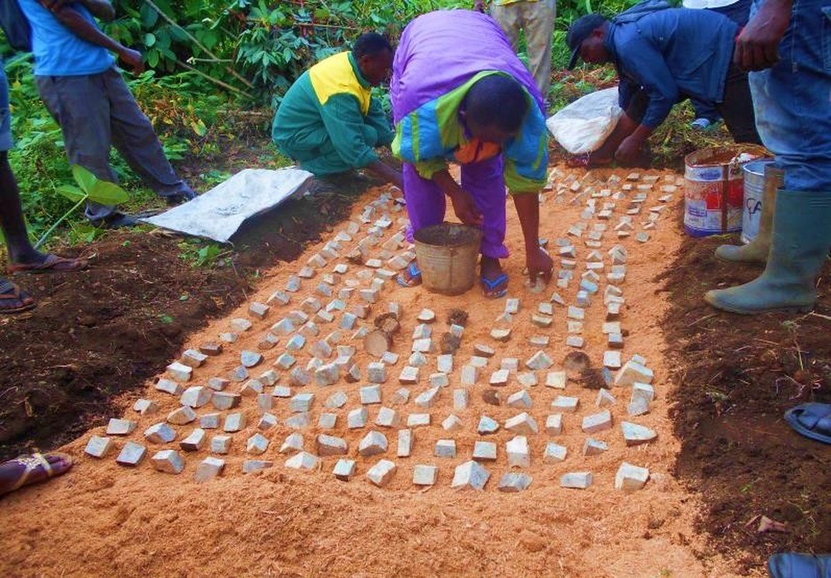 Farmers preparing a demonstration plot with planting bags