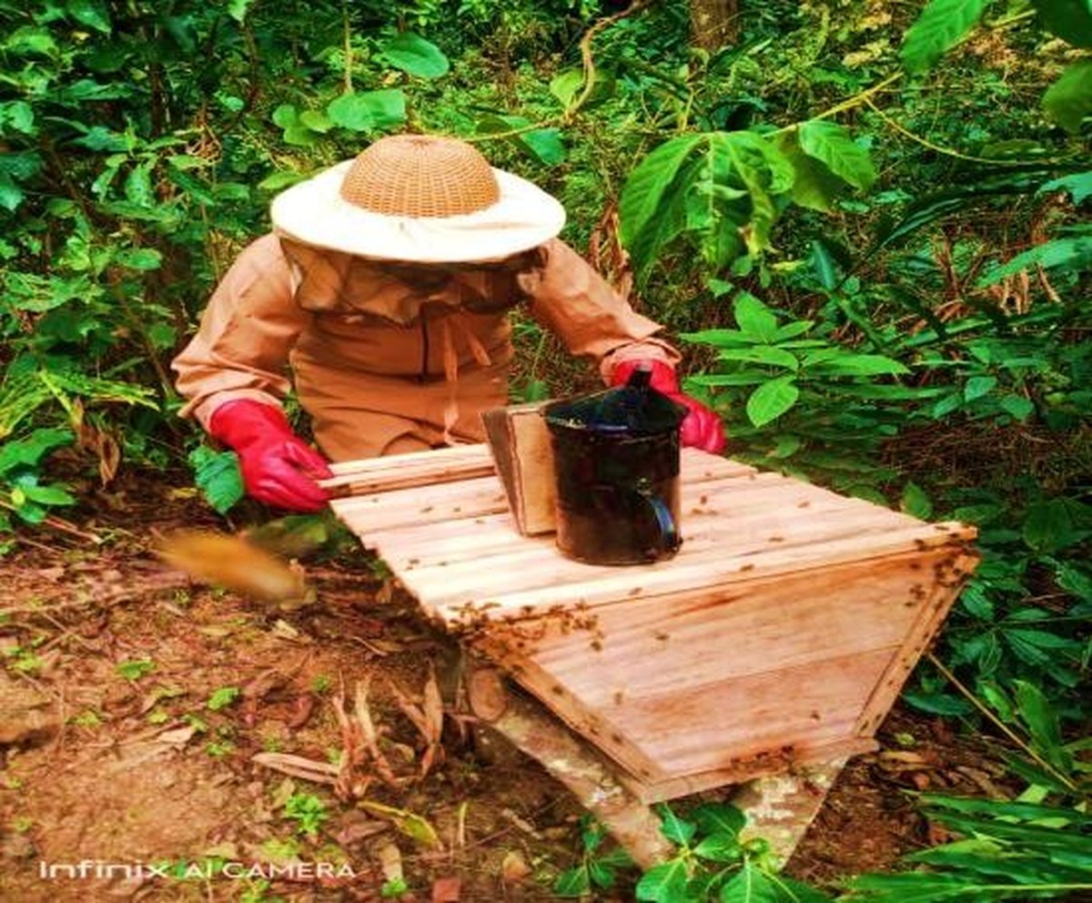 Beekeeper assembling a top-bar hive in the field