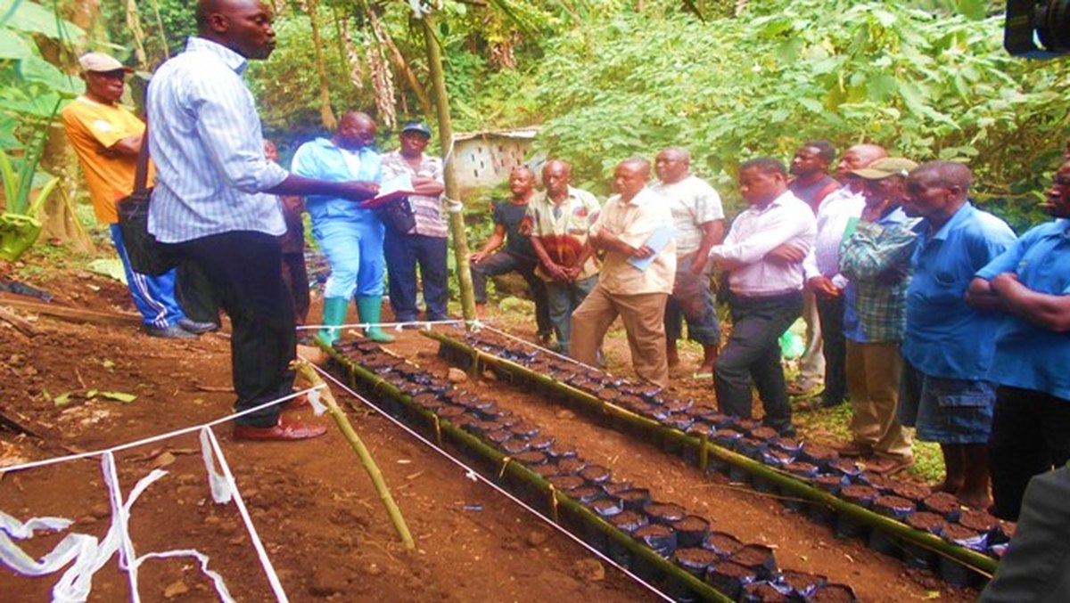 Participants around a tree nursery during a field training
