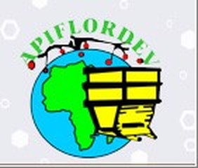 APIFLORDEV logo