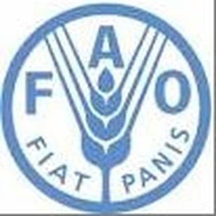 FAO — Food and Agriculture Organization logo