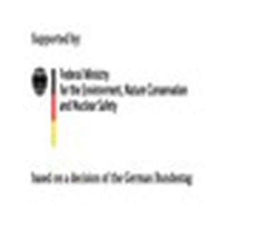 German Federal Ministry for the Environment, Nature Conservation and Nuclear Safety logo