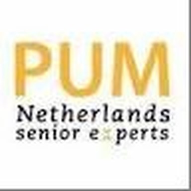 PUM Netherlands Senior Experts logo