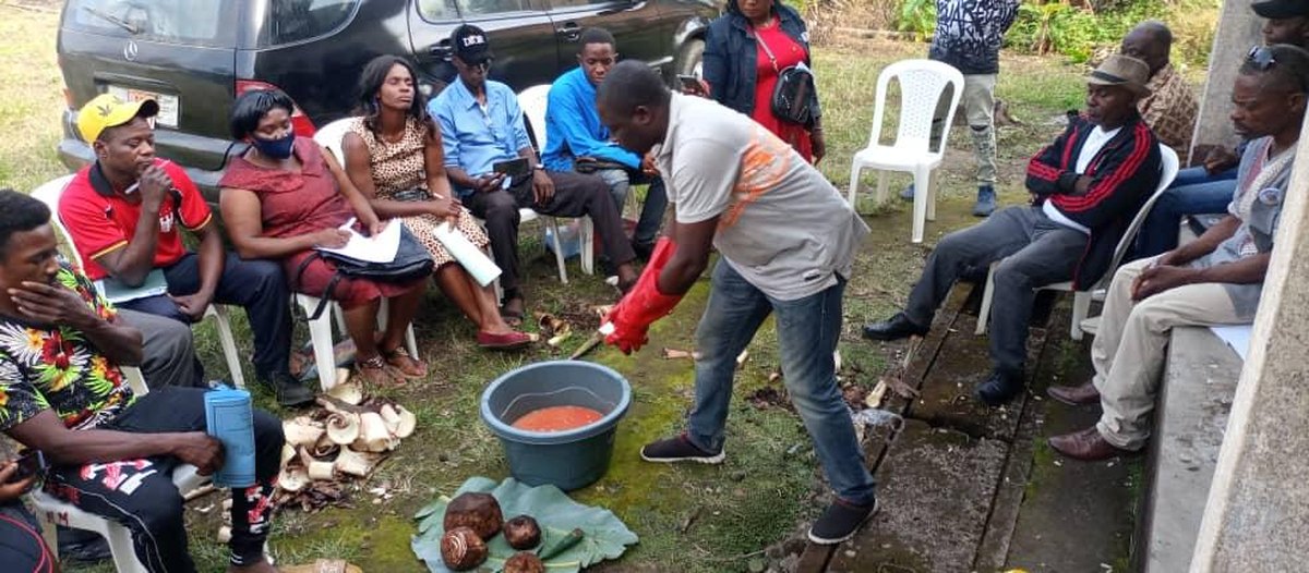 Trainees seated around a demonstration of plantain propagation