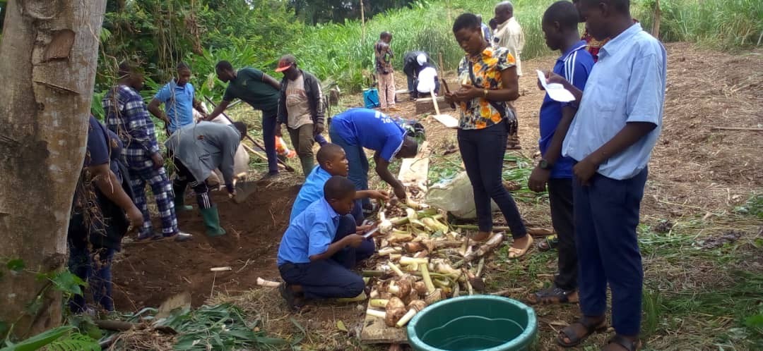 Students taking part in a plantain propagation practical session